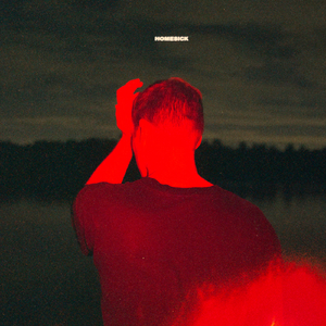 熟妇荡欲视频在线
