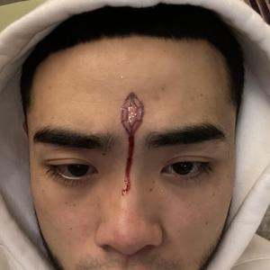 熟妇荡欲视频在线
