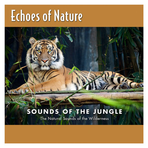 熟妇荡欲视频在线
